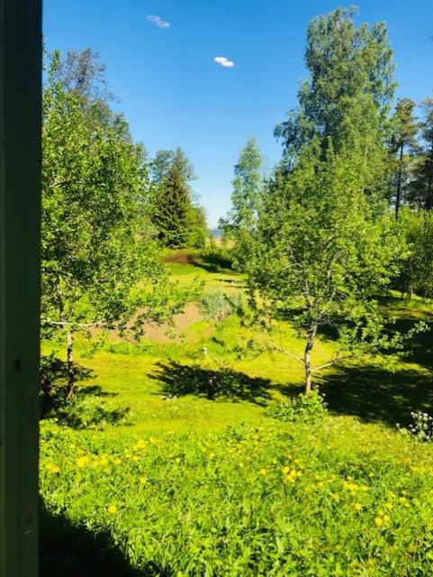 Altja Villa-Cottage With Sauna ภายนอก รูปภาพ